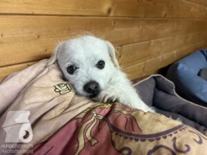 Hutamix-25-09-w01-047