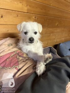 Hutamix-25-09-w01-048