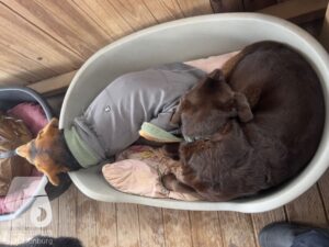 Hutamix-25-09-w01-049