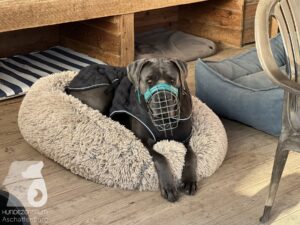 Hutamix-25-09-w01-050