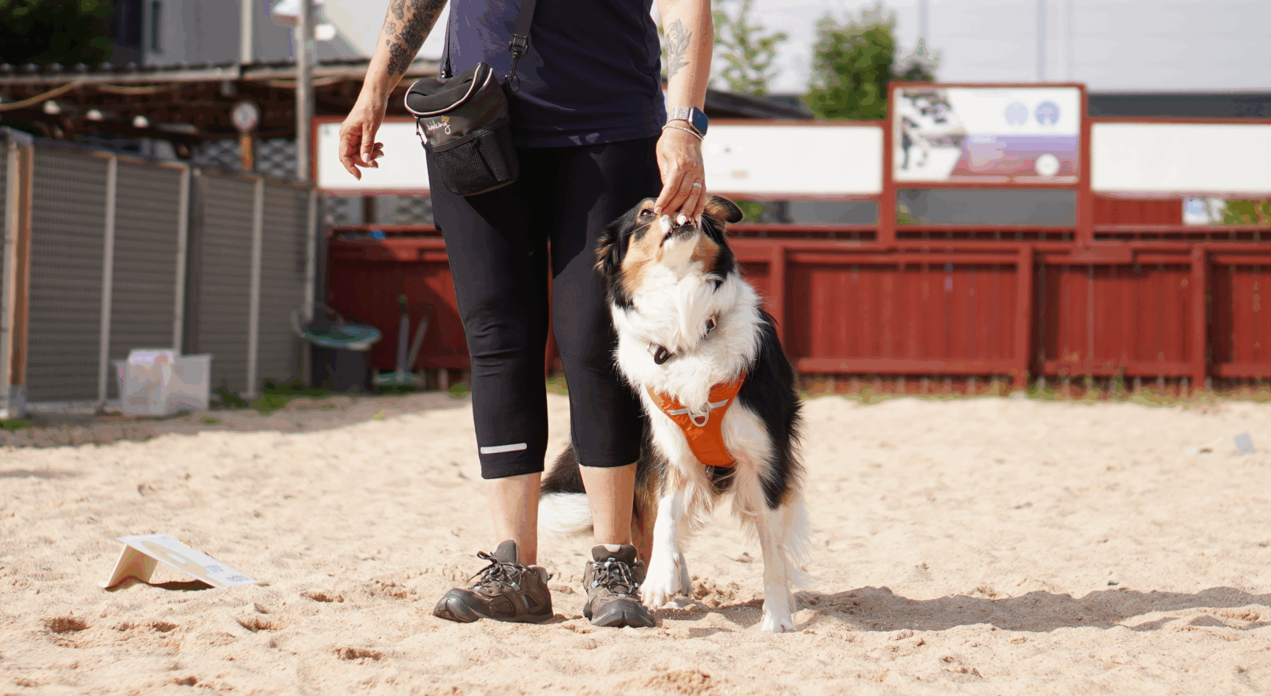 Mehr über den Artikel erfahren Lerntheorie