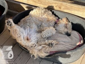 Hutamix-25-10-w06-001