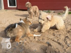 Hutamix-25-10-w06-001