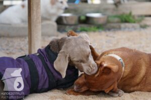 Hutamix-25-10-w06-002