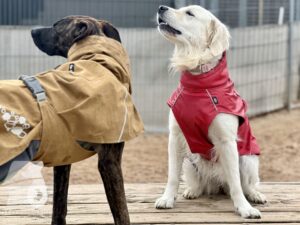 Hutamix-25-10-w06-002