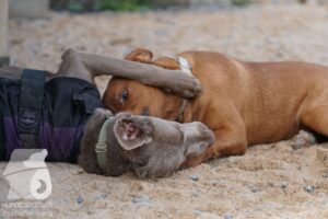 Hutamix-25-10-w06-003