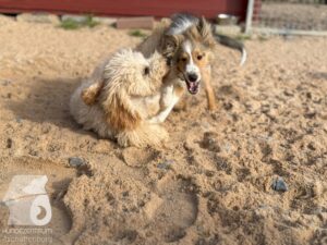 Hutamix-25-10-w06-003