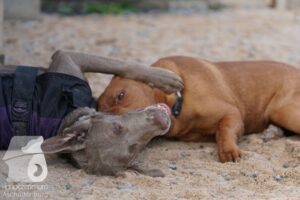 Hutamix-25-10-w06-004