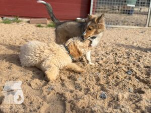 Hutamix-25-10-w06-004