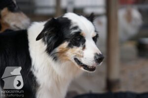 Hutamix-25-10-w06-005