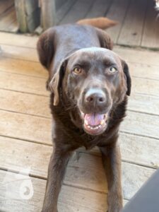 Hutamix-25-10-w06-005