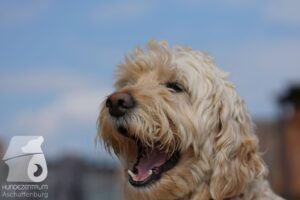 Hutamix-25-10-w06-006