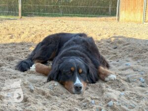 Hutamix-25-10-w06-006