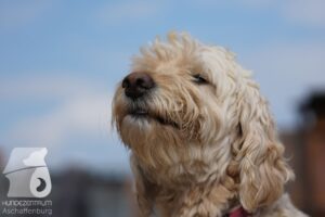 Hutamix-25-10-w06-007