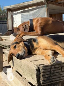 Hutamix-25-10-w06-007