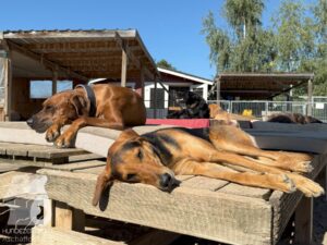 Hutamix-25-10-w06-008