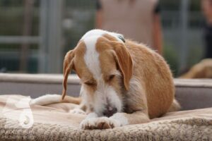 Hutamix-25-10-w06-009