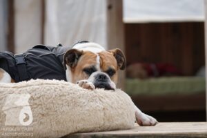 Hutamix-25-10-w06-010