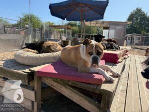 Hutamix-25-10-w06-010