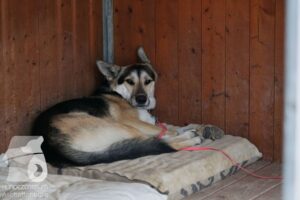 Hutamix-25-10-w06-011