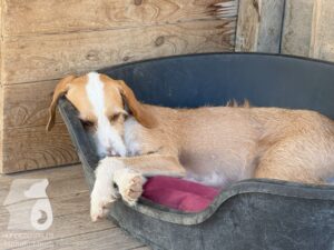 Hutamix-25-10-w06-011