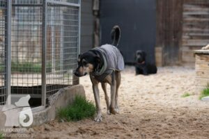 Hutamix-25-10-w06-012