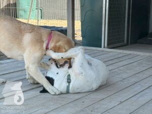 Hutamix-25-10-w06-012