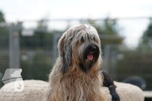 Hutamix-25-10-w06-013