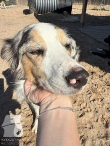 Hutamix-25-10-w06-013