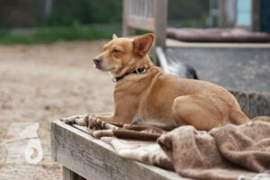 Hutamix-25-10-w06-014