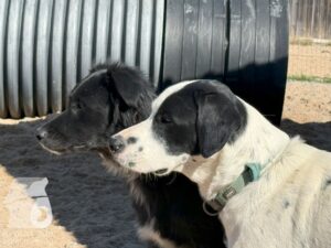 Hutamix-25-10-w06-014