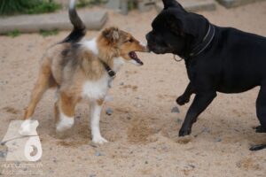 Hutamix-25-10-w06-015