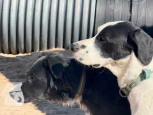 Hutamix-25-10-w06-015