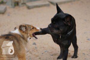 Hutamix-25-10-w06-016