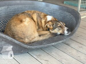 Hutamix-25-10-w06-016