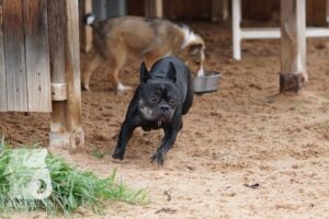 Hutamix-25-10-w06-017