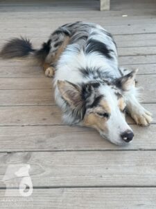 Hutamix-25-10-w06-017