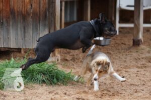 Hutamix-25-10-w06-018