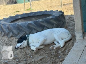 Hutamix-25-10-w06-018