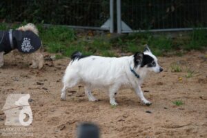 Hutamix-25-10-w06-019