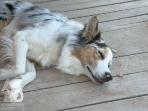 Hutamix-25-10-w06-019