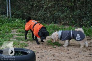 Hutamix-25-10-w06-020