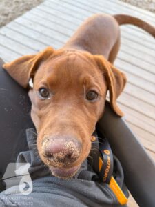 Hutamix-25-10-w06-020