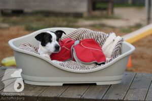 Hutamix-25-10-w06-021