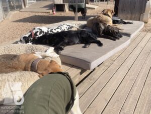 Hutamix-25-10-w06-021