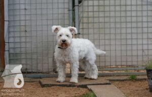 Hutamix-25-10-w06-022