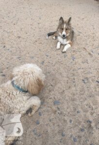 Hutamix-25-10-w06-022