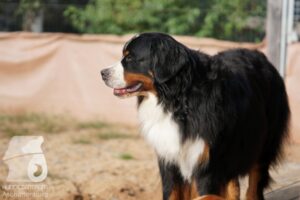 Hutamix-25-10-w06-023