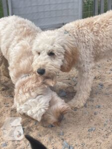 Hutamix-25-10-w06-023