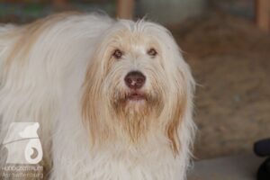 Hutamix-25-10-w06-024